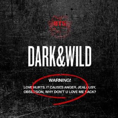 bts-darkwild